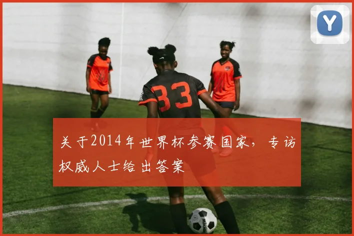 关于2014年世界杯参赛国家，专访权威人士给出答案