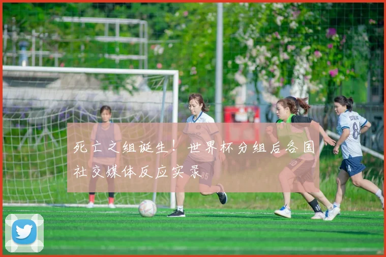 死亡之组诞生!世界杯分组后各国社交媒体反应实录