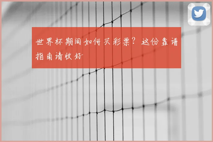 世界杯期间如何买彩票？这份靠谱指南请收好