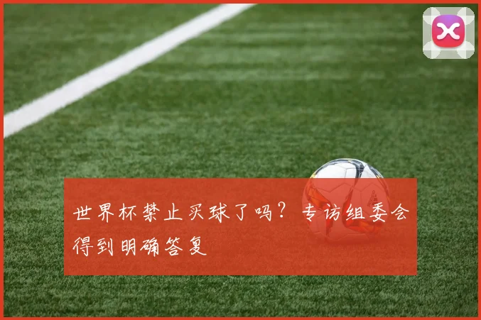 世界杯禁止买球了吗？专访组委会得到明确答复