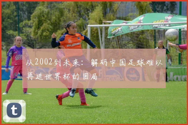 从2002到未来:解码中国足球难以再进世界杯的困局