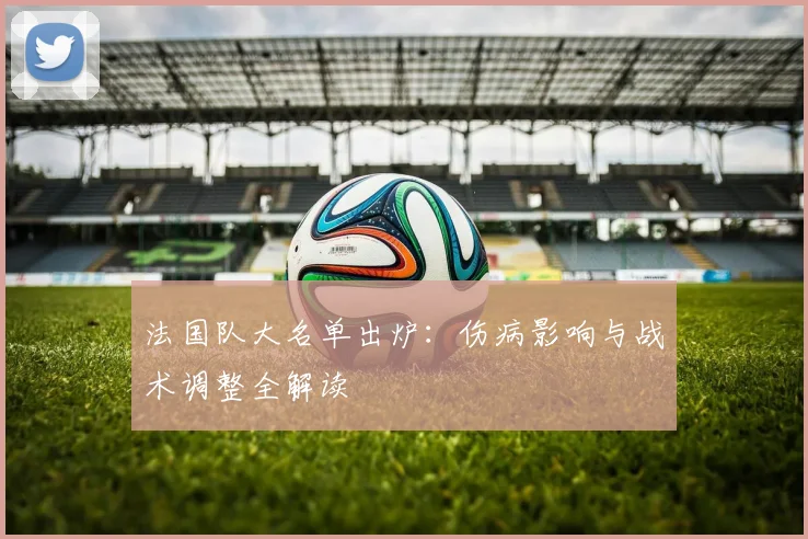 法国队大名单出炉：伤病影响与战术调整全解读