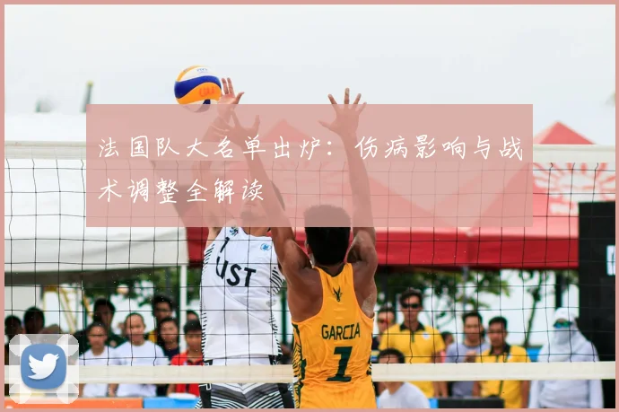 法国队大名单出炉：伤病影响与战术调整全解读